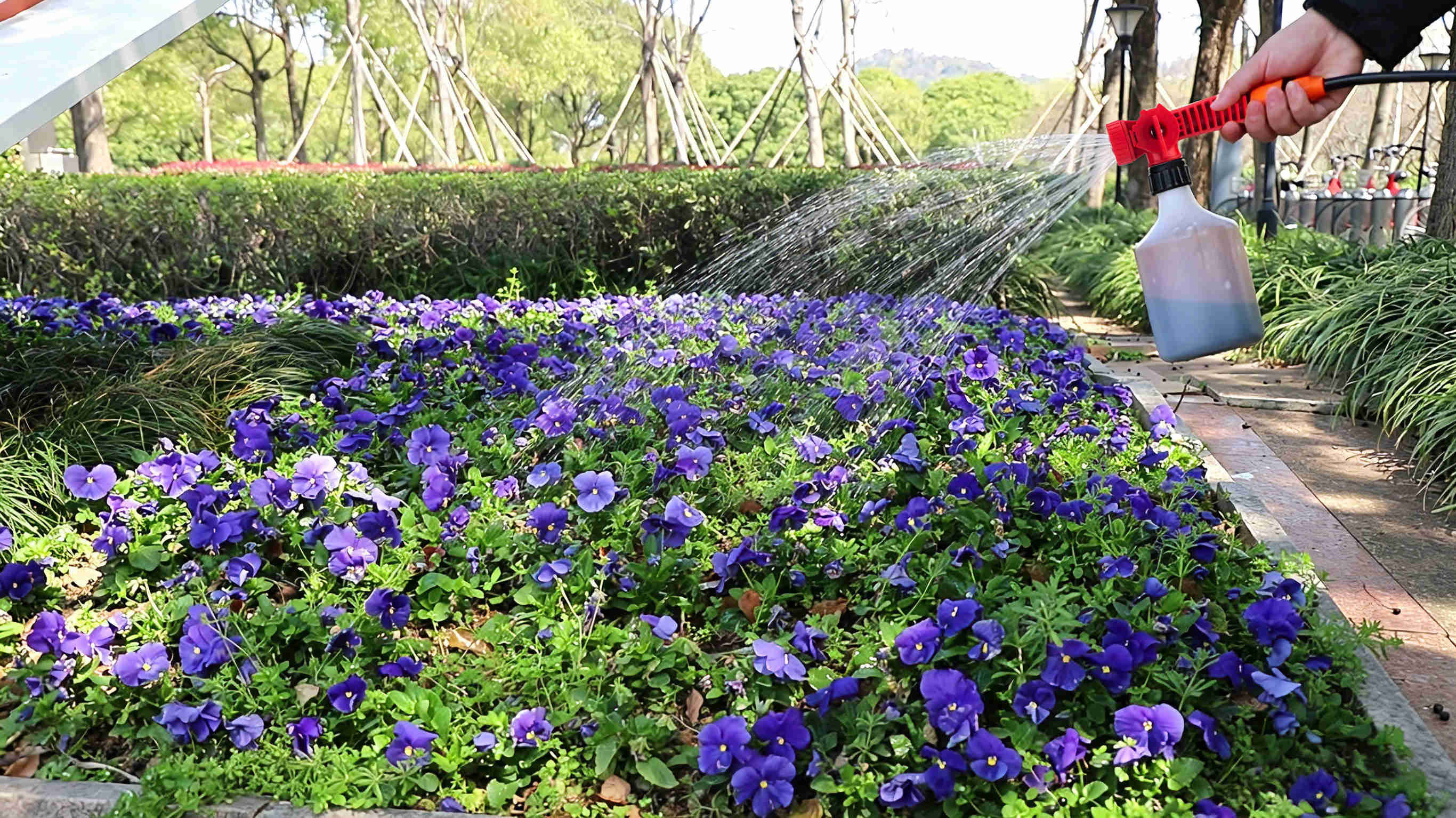 Entretien du jardin et des plantes