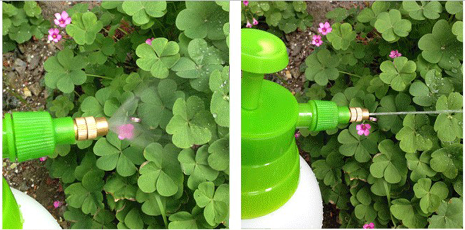 Pulvérisateur à pompe à pression de jardin de 1,5 L pour l'arrosage du nettoyage de la maison et du lavage de voiture