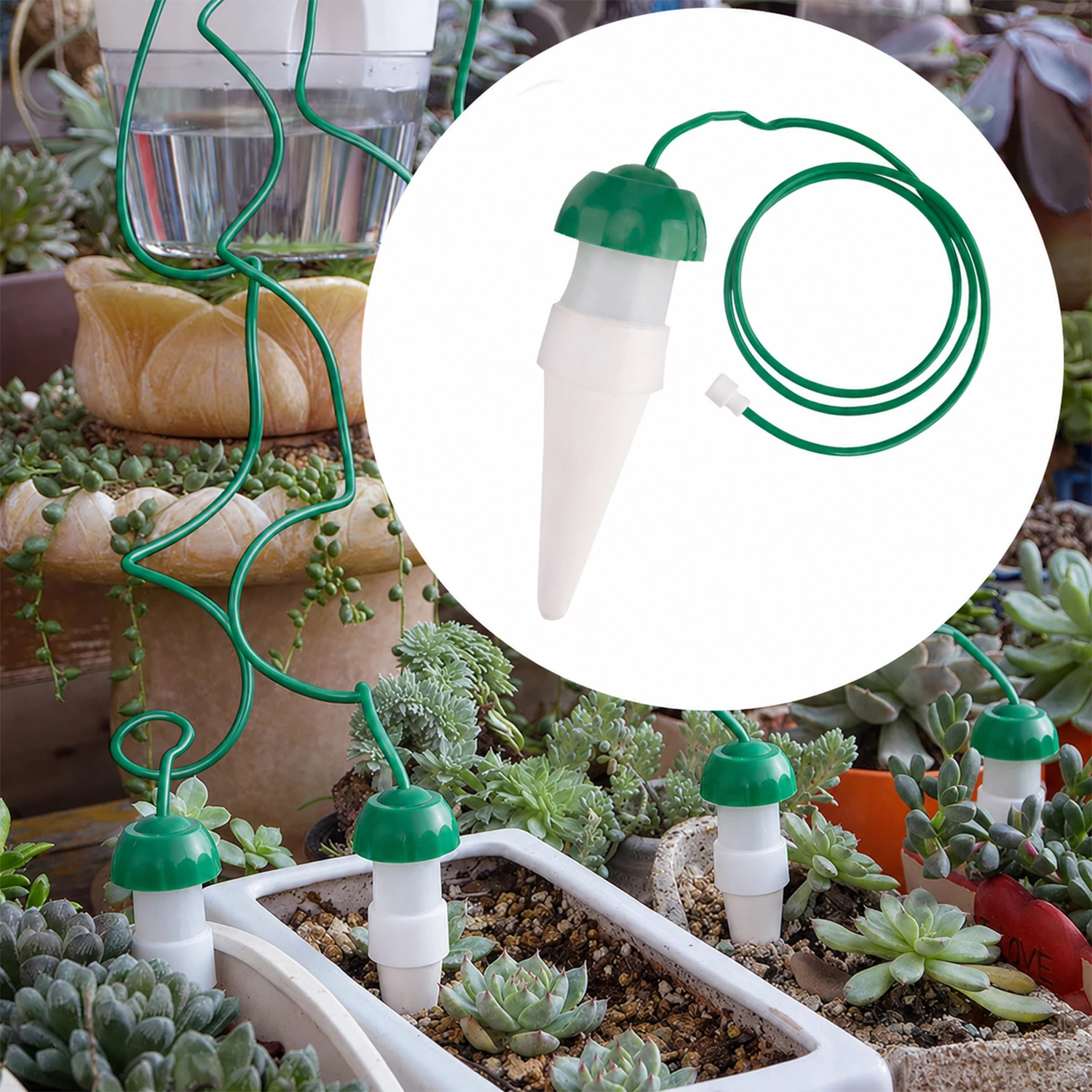 Abreuvoirs automatiques pour plantes, pointes d'arrosage automatique pour plantes d'int&eacute;rieur et d'ext&eacute;rieur (grandes)